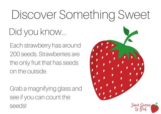 Figure 3. Example of wording that could be used for an informational display.