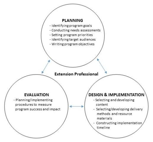 Figure 1. The program development model.