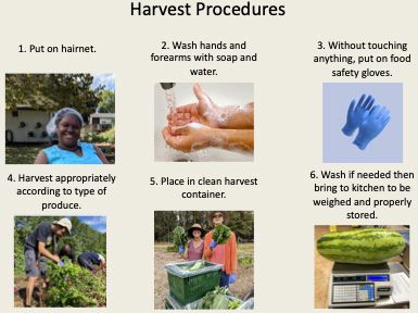 This Harvest Procedures poster at the Growing Educational Training program’s Harvest Shed is an example of administrative control. 