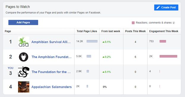 The Pages to Watch feature on Facebook allows social media managers to compare the similarity of their page with others.