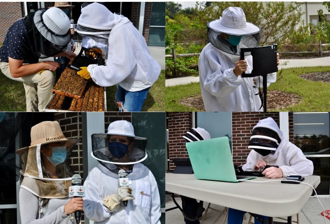 Behind the scenes photos of “The Buzz about Bees” EFT in November 2021. 