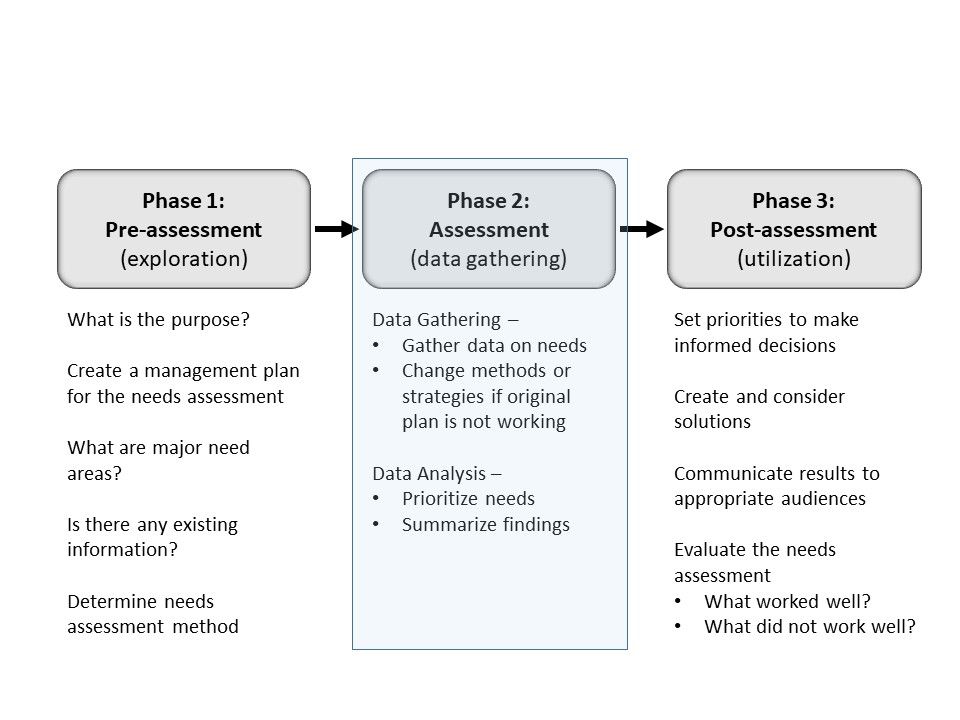 Three-phase plan for needs assessment.