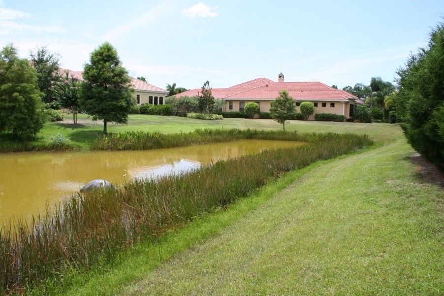 A SWP in a residential area with water that looks like chocolate milk or coffee with cream. 