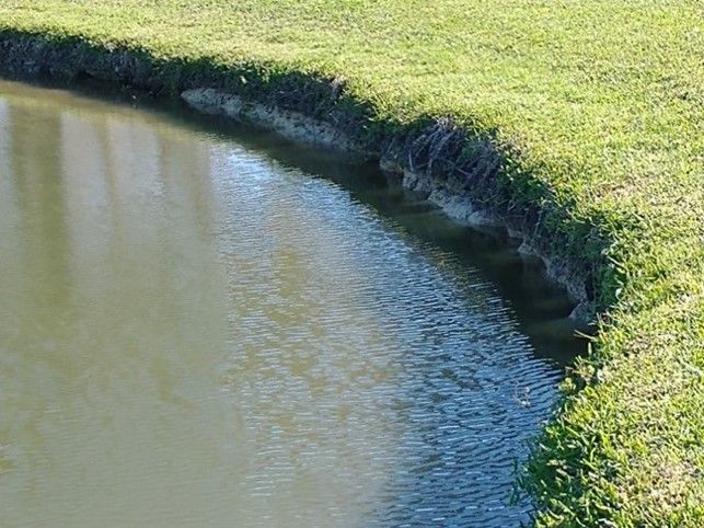 Erosion can result in steep, unsafe pond bank. 