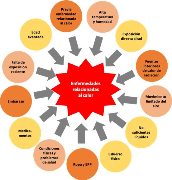 Factores de riesgo de enfermedades relacionadas al calor. 