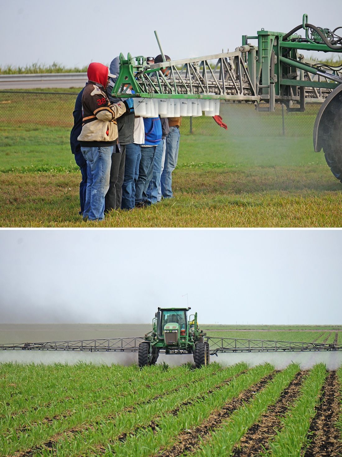 Sprayer calibration exercise (top photo) and broadcast herbicide application in sugarcane (bottom photo). 
