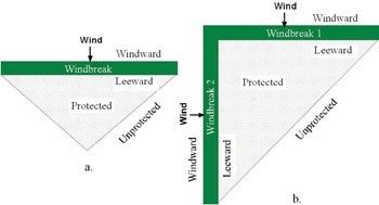 Area of protection behind a single leg windbreak (a) and two-leg windbreaks perpendicular to each other (b).