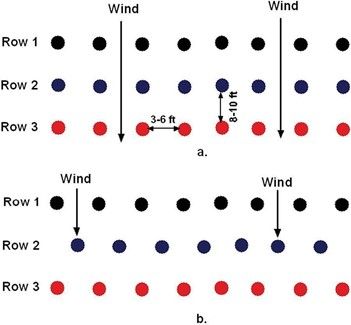 Planting configurations in a multiple-row windbreak; colors represent different species. (a) A three-row windbreak design in a regular row arrangement and (b) a three-row windbreak design with second row offset.